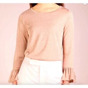 J.Crew Size XS Long Sleeve Top Metallic